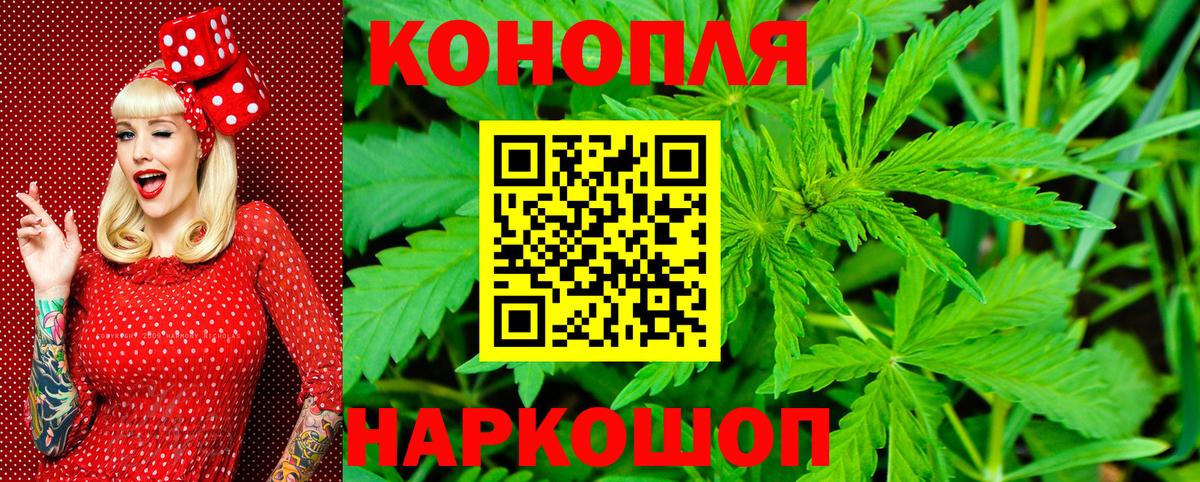 Бошки марихуана ГИДРОПОН  Канабис план  Бошки Шишки конопля  Вход с VPN  Тамбов 